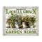 Stupell Industries Vintage Herbs in Buckets Canvas Wall Art Design by Creatif Belle